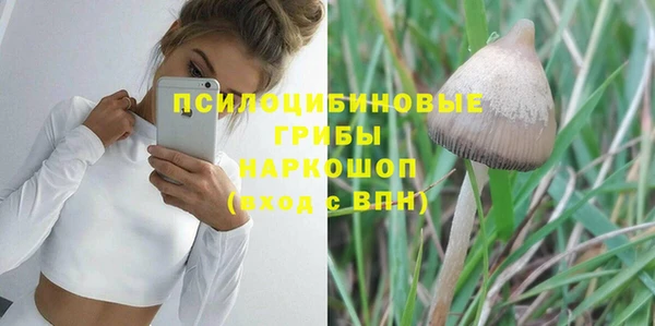 хмурый Алексеевка