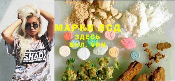 индика Алзамай