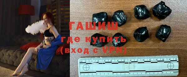 индика Алзамай
