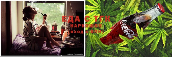индика Алзамай