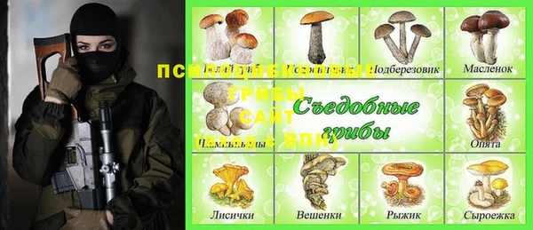 индика Алзамай