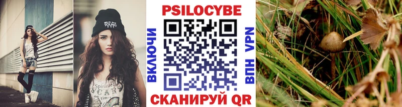 shop как зайти  Анжеро-Судженск  Псилоцибиновые грибы Psilocybine cubensis  что такое наркотик 